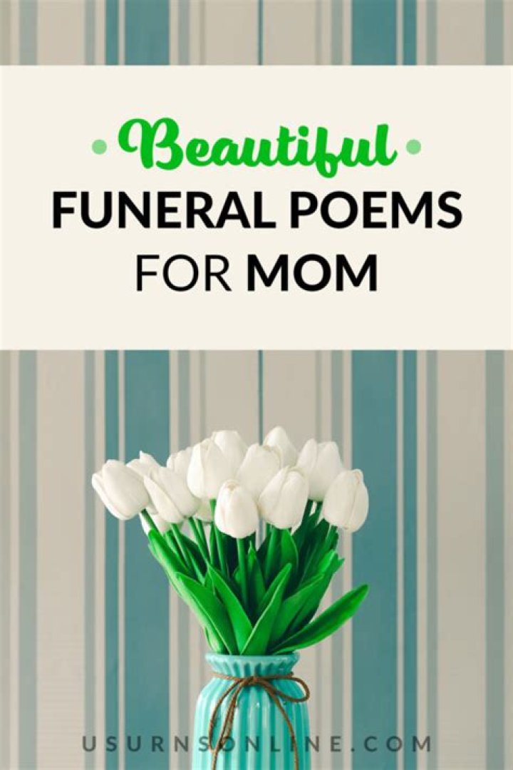 Uncovering The Journey Of A Dedicated Mother